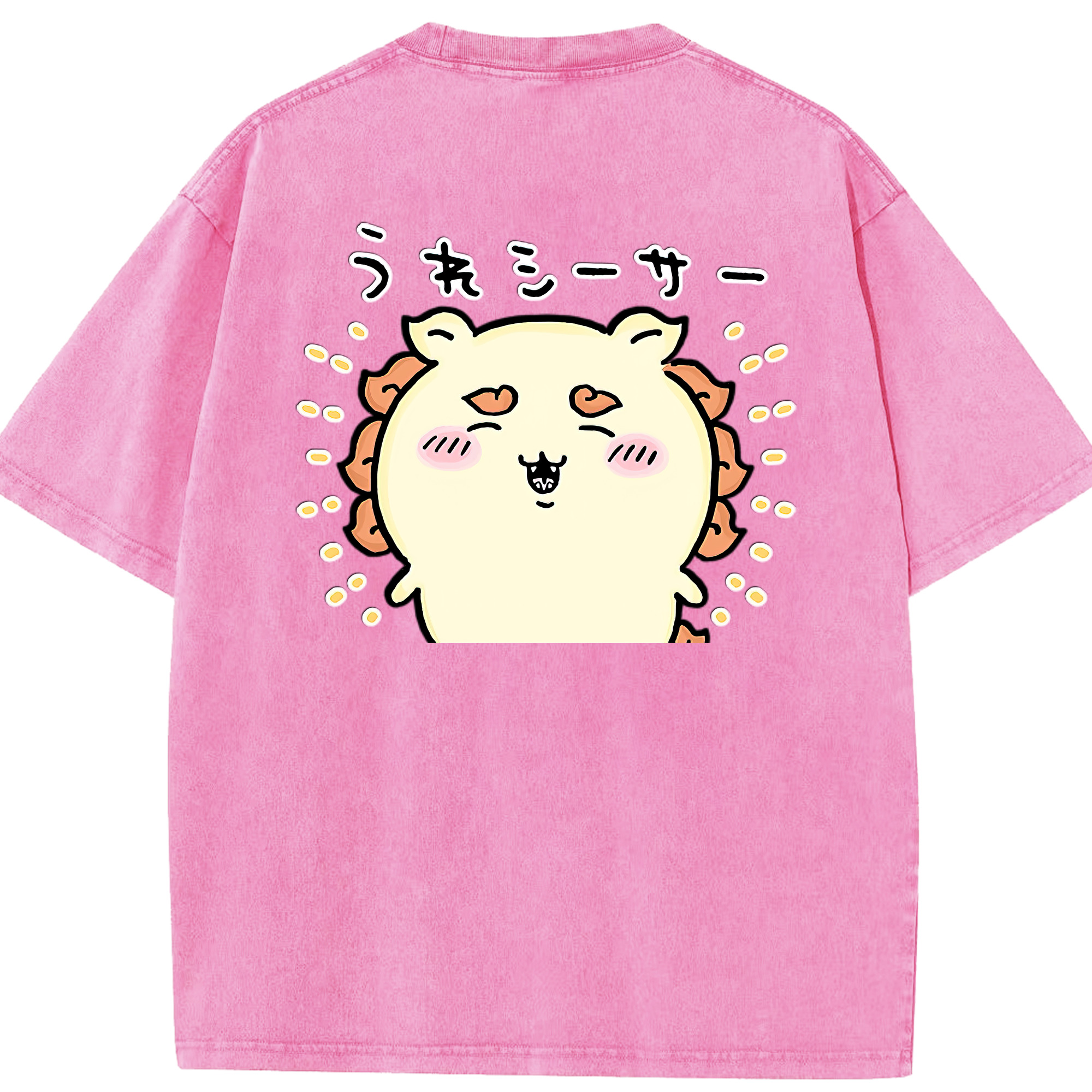 （画像用） ちいかわ シーサー Chii-kawa Shisa 綿100% ヴィンテージ風 半袖Tシャツ（背面プリント）